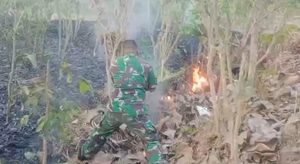 Koramil Tanggunggunung Gerak Cepat Padamkan Kebakaran Hutan di Desa Ngepoh